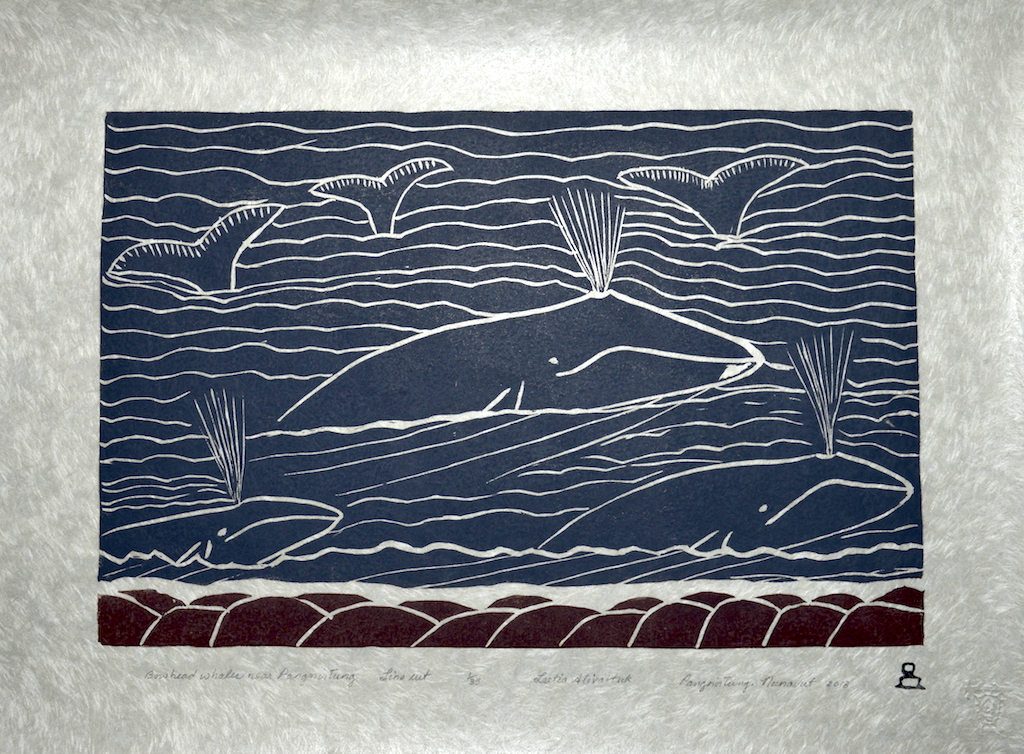 Bowhead Whales Near Pangnirtung  (2018)