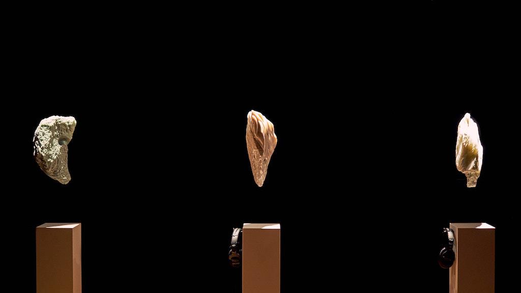 Katajjausivallaat le rythme bercé (2018)