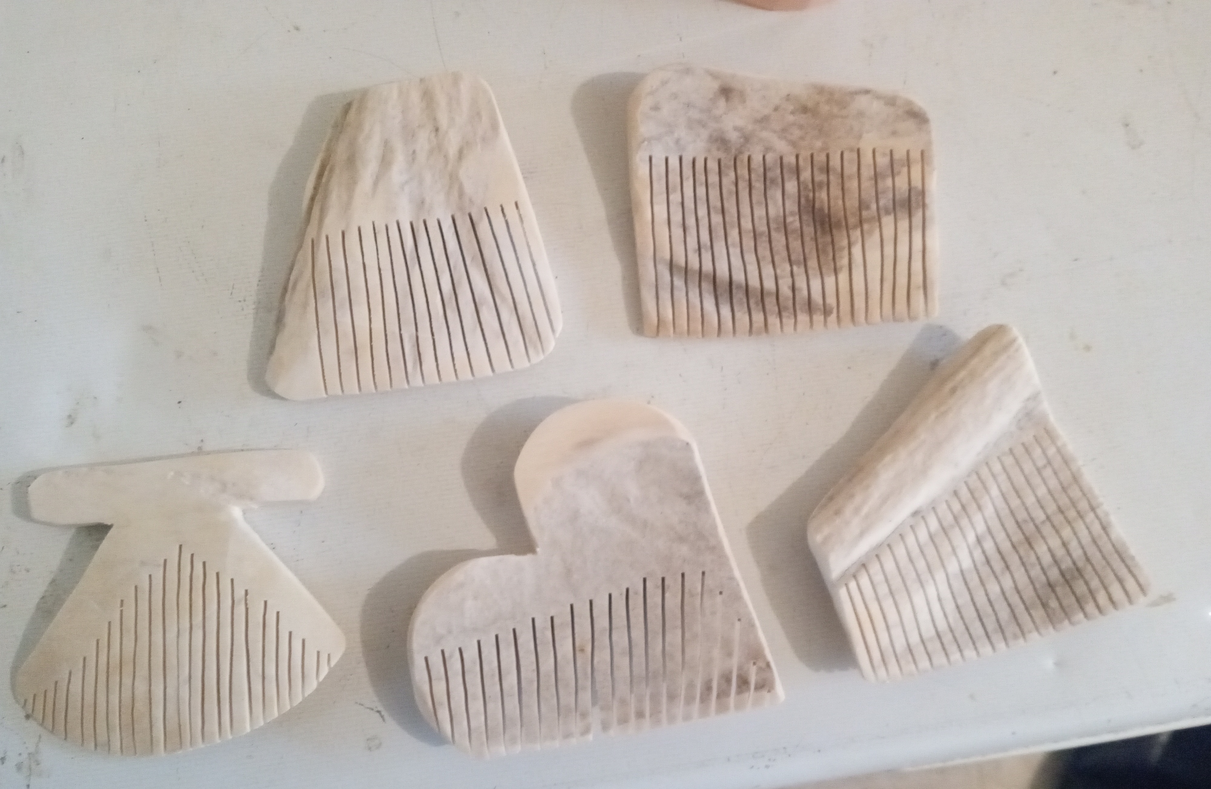 Moose antler combs (2024)