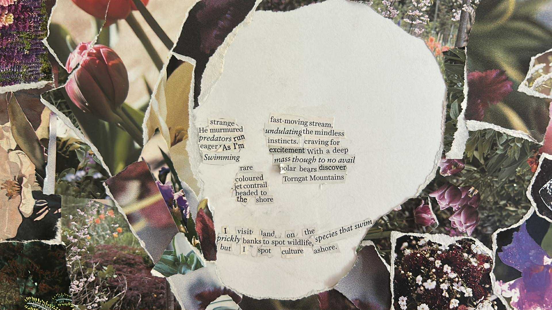 Homecoming//Torngat Mountains (2023)