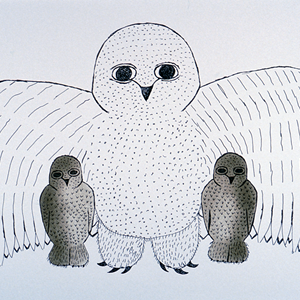 Mother Owl Shelters Young (1995)