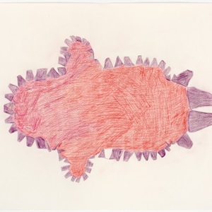 untitled (red and purple seal) (1996-97) color pencil, graphite, paper, 20 x 26 in.