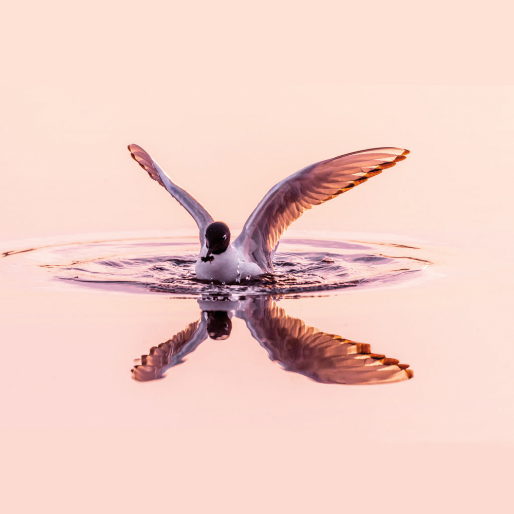 Landing-CarolineBlechert