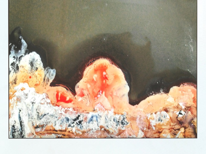 Developing Experiment (2018)