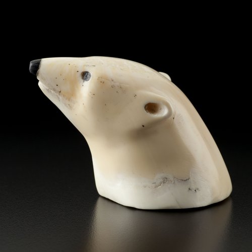 Polar Bear Head