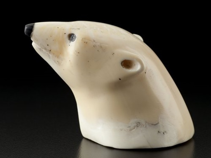 Polar Bear Head