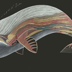 Untitled (Bowhead Whale)