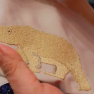 Petaulassie exhibits some of her work (n.d.)