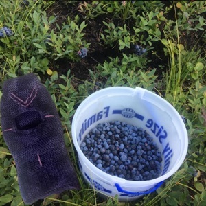 Tunniit Ski Mask (2023)