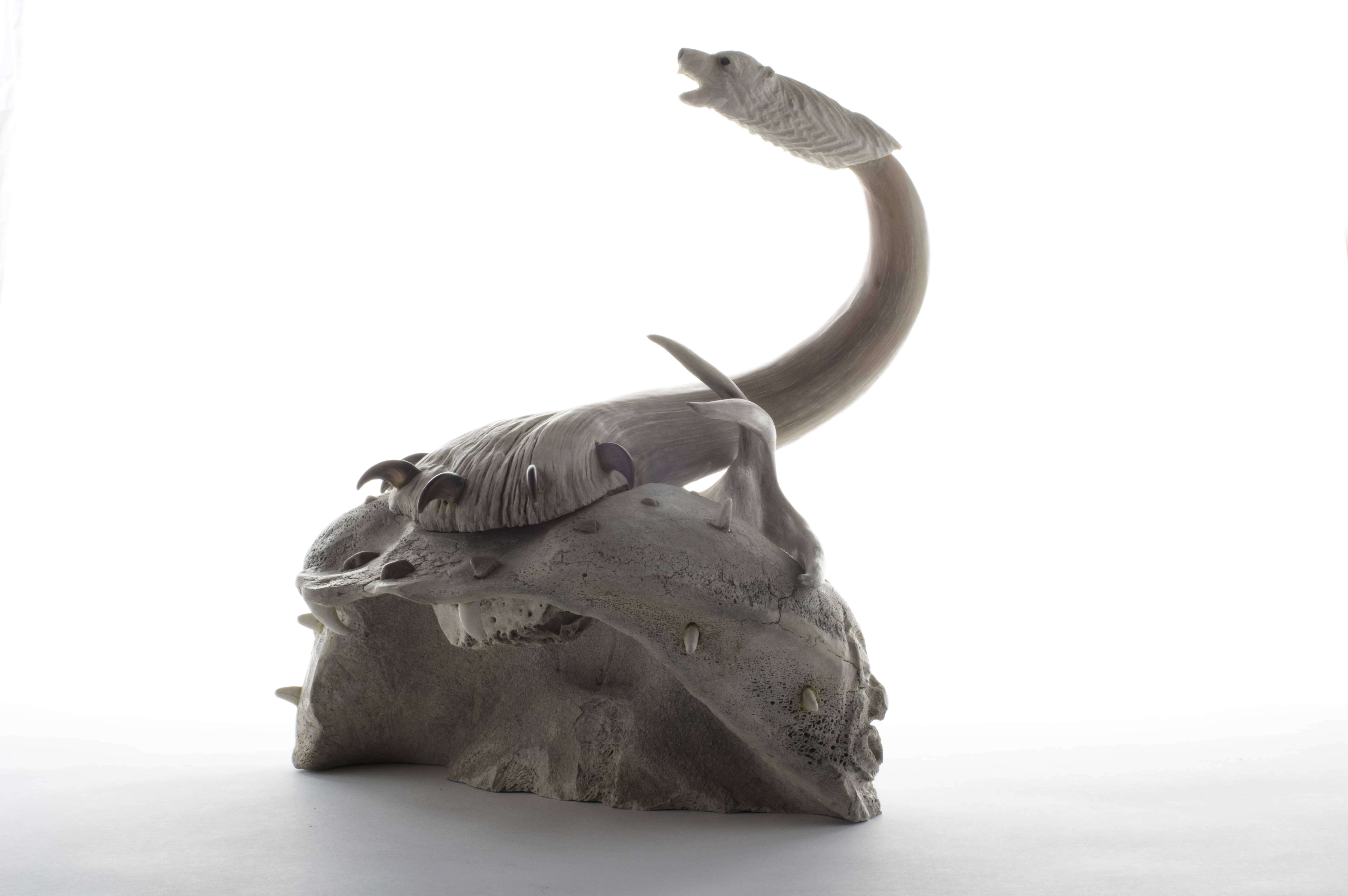 Strength of the Bear’s Paw