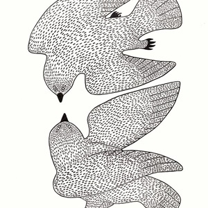 Sparring Owls (2017)