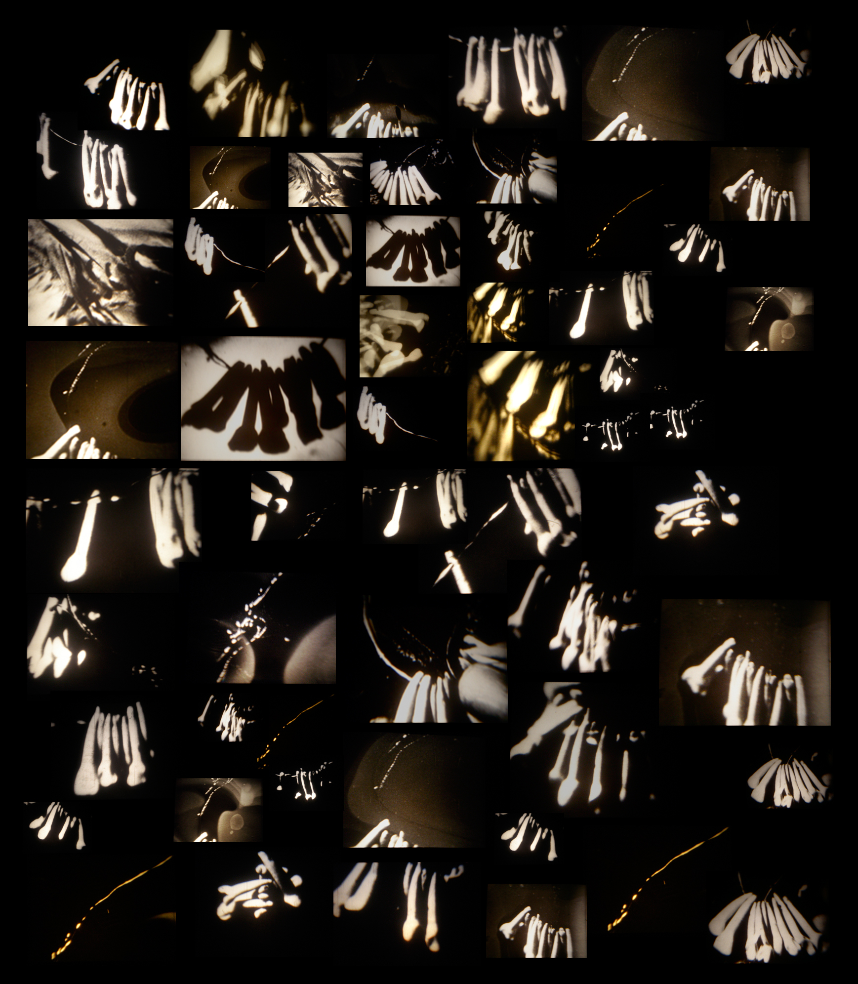 though she never spoke, this is where her voice would have been (2008)