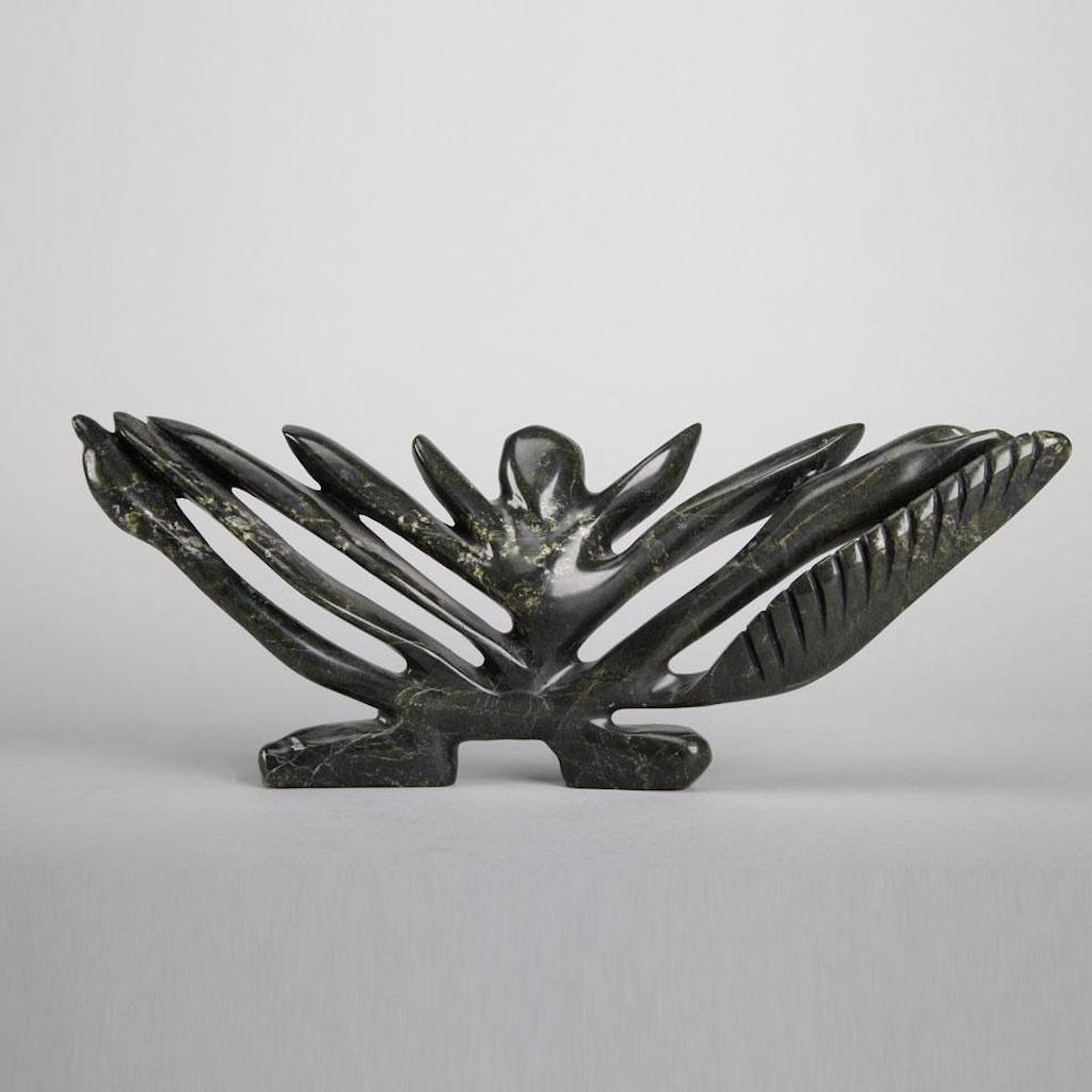 Transformation (n.d.)