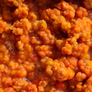 The Colour Aqpik (2023)