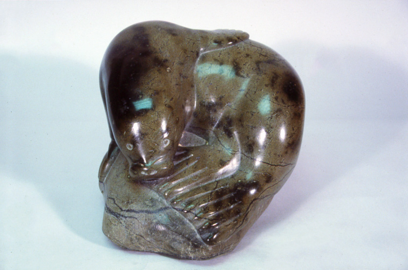 Walrus on Rock (n.d.)