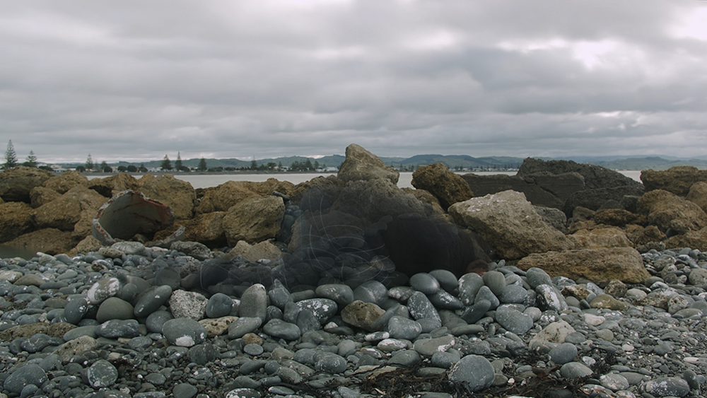 Rock Piece (Ahuriri edition) (still)