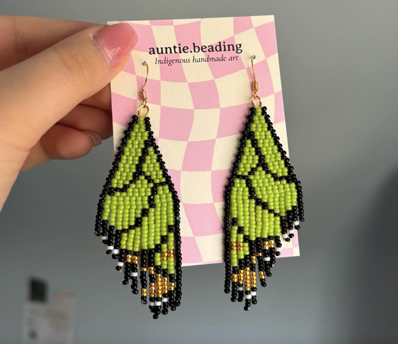 Butterfly fringe earrings (2024)