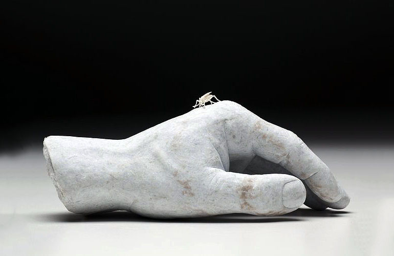 Mosquito on Hand (2011)