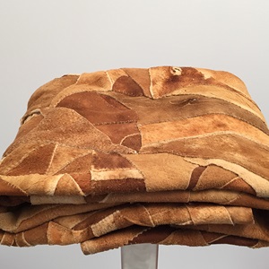 This is Not a Hudson's Bay Blanket (2015)