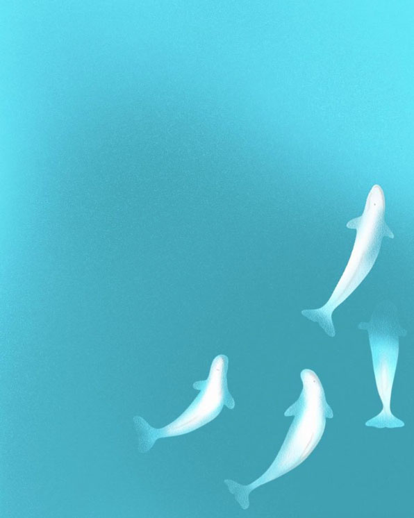 Vocal Belugas (2022)