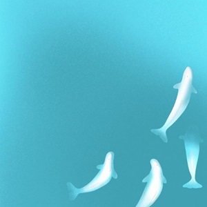 Vocal Belugas (2022)
