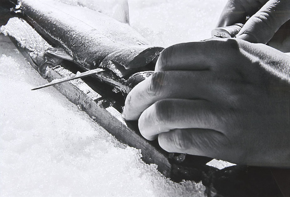 Nain Arctic Char 3 (2019)