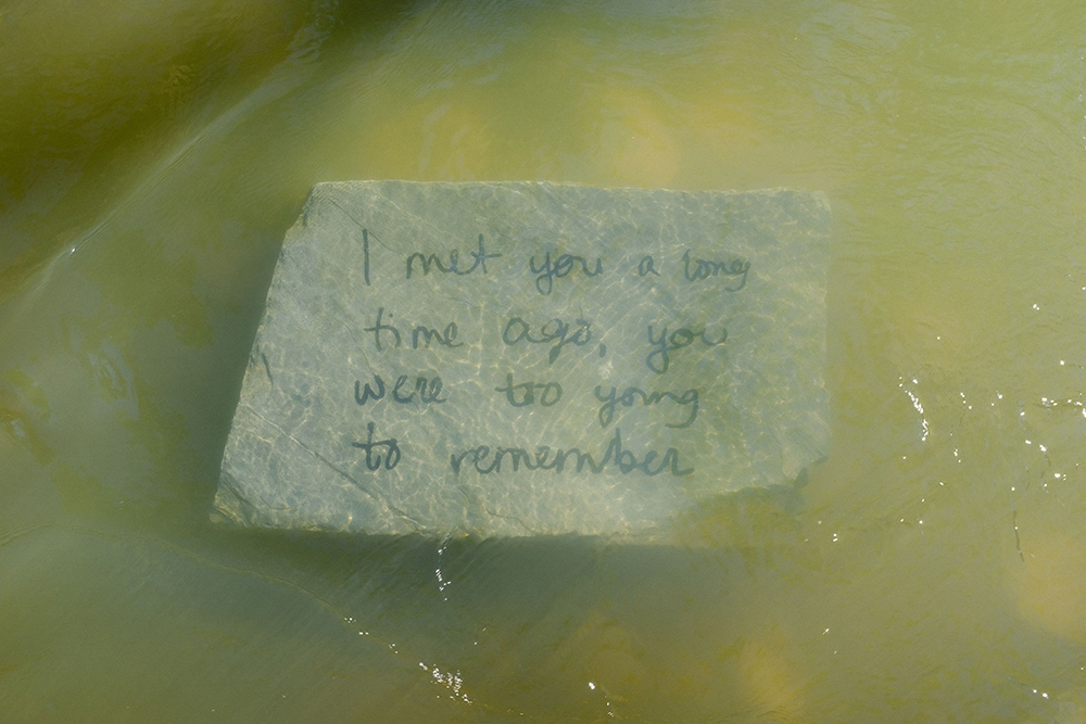 Things that both a relative you haven't seen in a long time and the river could say (2019)