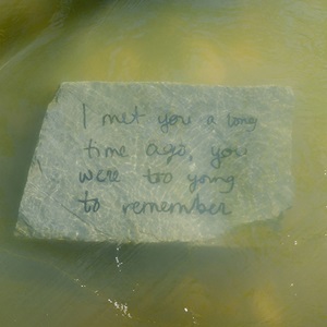 Things that both a relative you haven't seen in a long time and the river could say (2019)