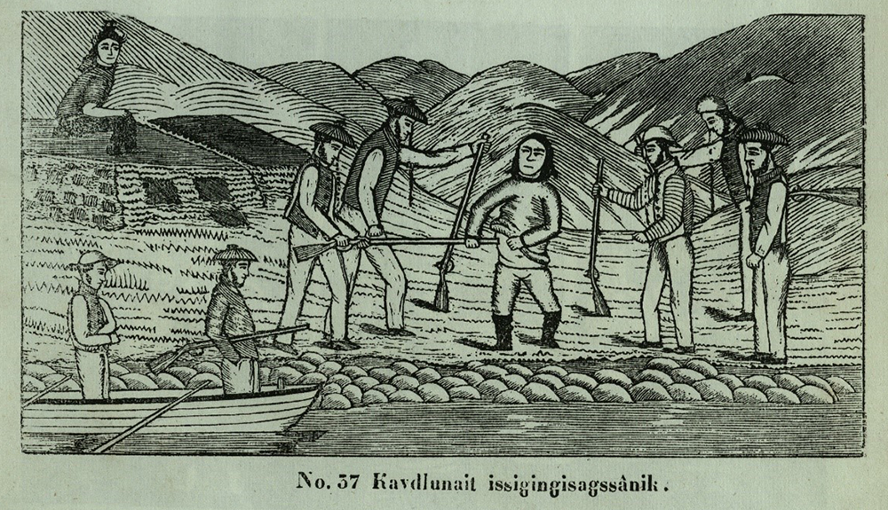Kavdlunait issigingisagssânik (1860)