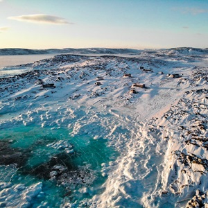 Untitled (The colours of winter) (2020)