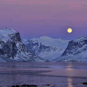 Moon over the park (2013)