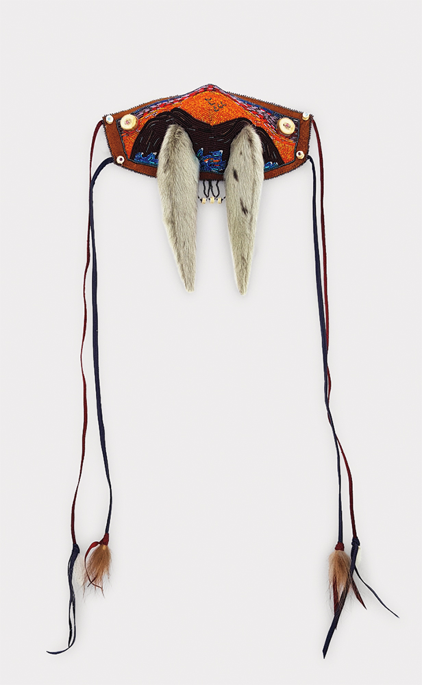 Bounty of Our Land (2020)