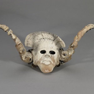 Musk Ox Transformation (2008)