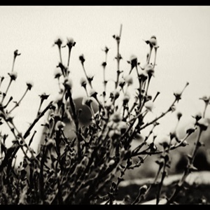 her silent life (2012)