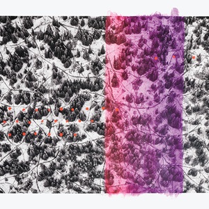 Uncategory 3 Land (2019) Collaboration with Robert Fréchette