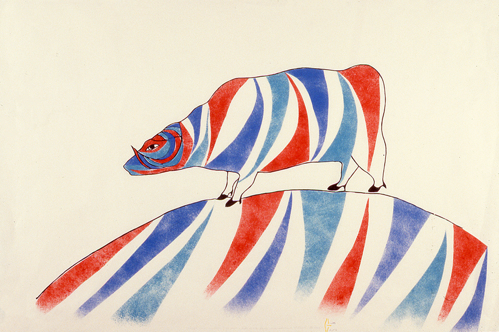 Muskox Under the Sun (1979)