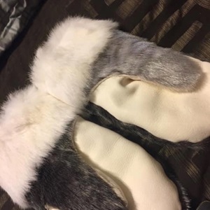 Untitled (Sealskin mitts)