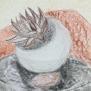 Plant study (2022) mixed media