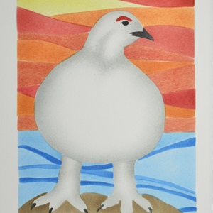 Rock Ptarmigan (2018)