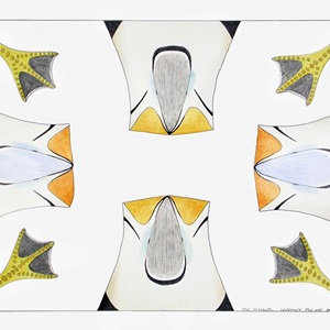Untitled (puffins) (2009)