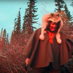 The Mad Trapper (2016)