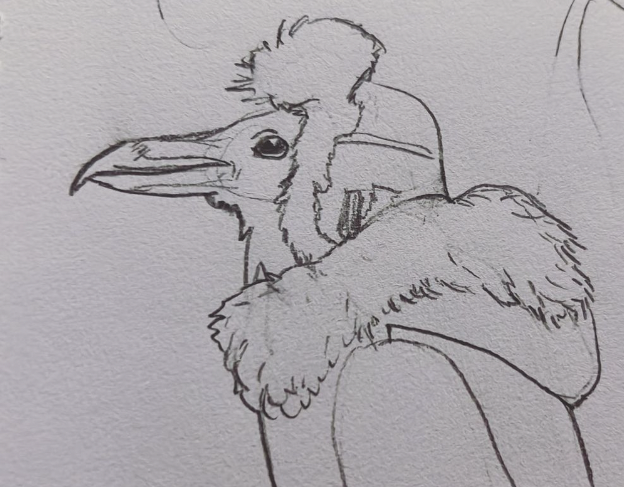 Birdman (Or The Unexpected Virture Of Ignorance) (2022)