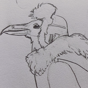 Birdman (Or The Unexpected Virture Of Ignorance) (2022)