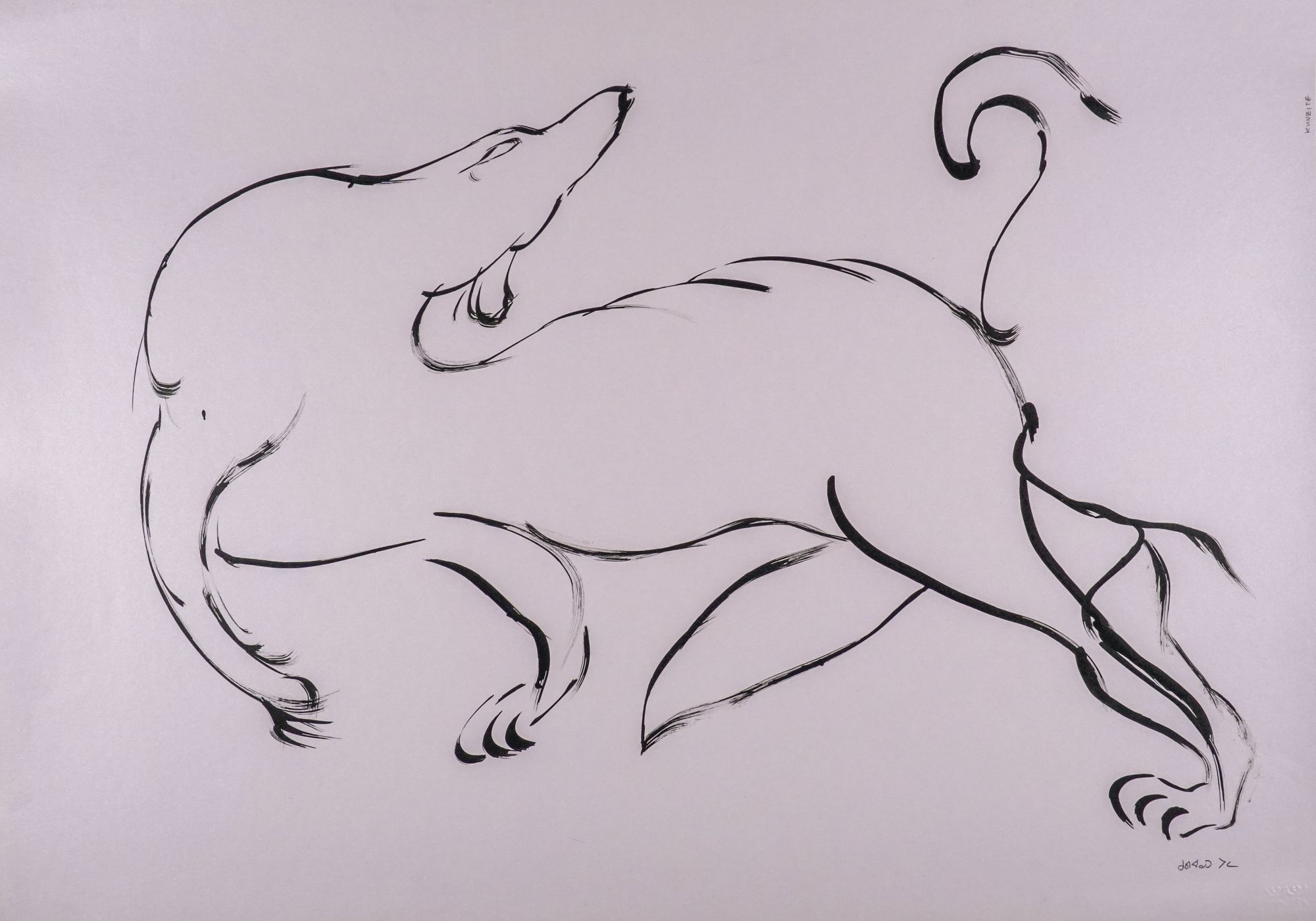 Study of a Wolf in Motion