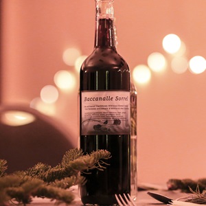 Katinniaqtugut (2020)