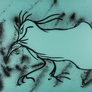 Transformation Study