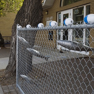 Nets (2018) Part of the Roadside Attractions