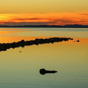 Untitled (Jetty) (2021)