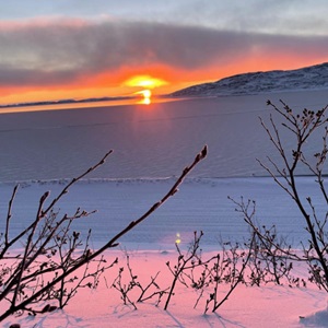 Untitled (This morning was beautiful) (2021)