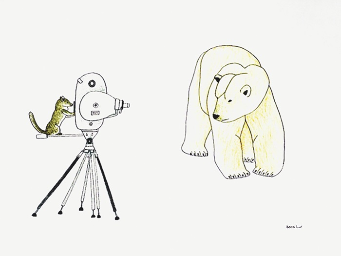 37.1_5Works_MQavavau_wildlifedocumentary